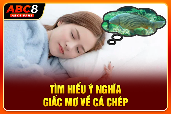 Giải Mã Giấc Mơ Thấy Cá Chép Và Tổng Hợp Số Đẹp Hôm Nay Tìm hiểu ý nghĩa giấc mơ về cá chép